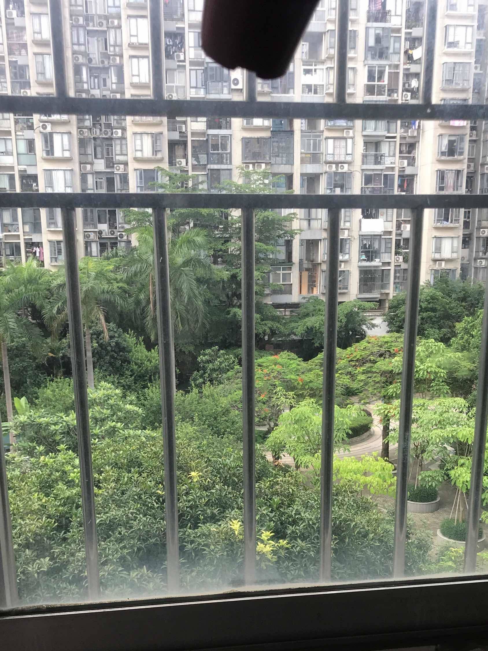 Shenzhen-Futian-Cozy Home,Clean&Comfy,No Gender Limit,Hustle & Bustle,“Friends”,Chilled,LGBTQ Friendly
