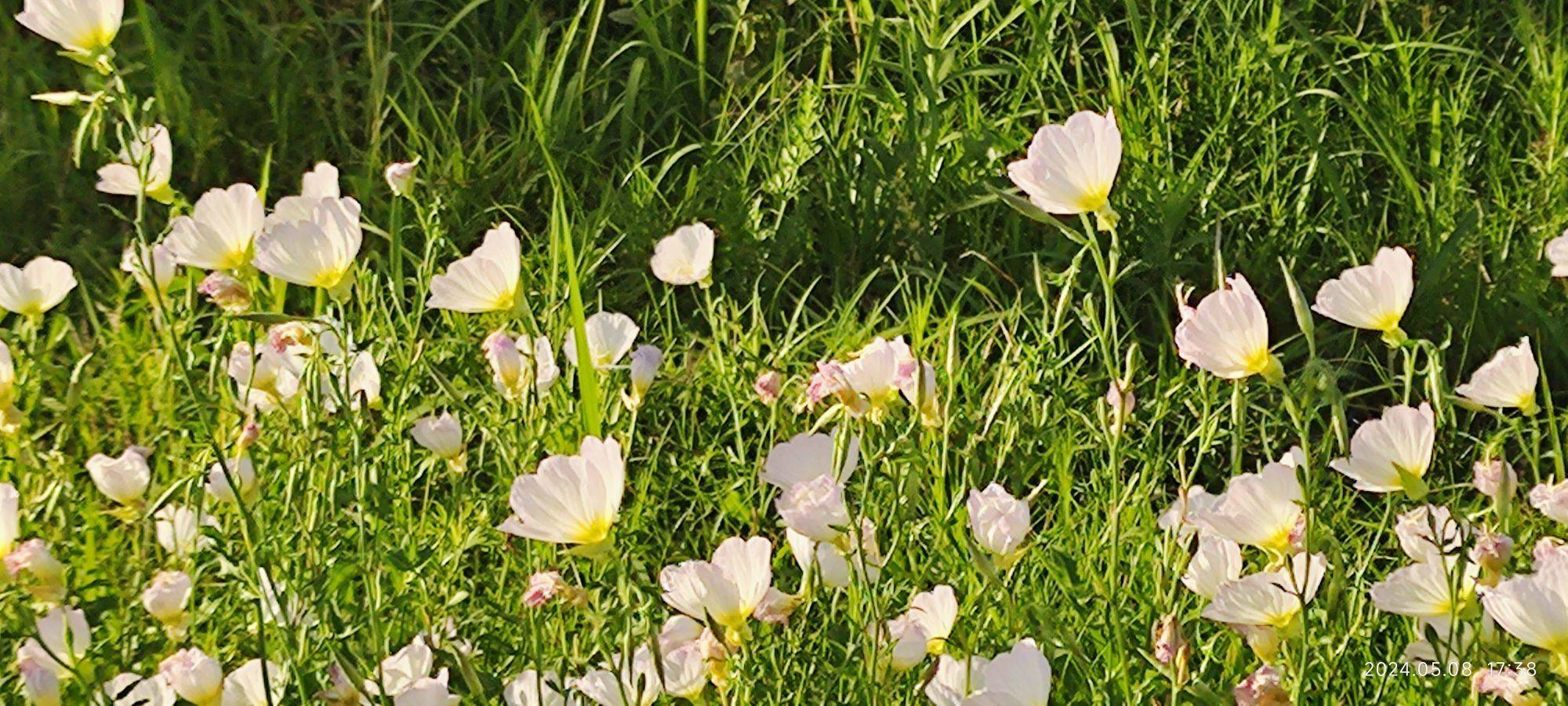 life_photo_0