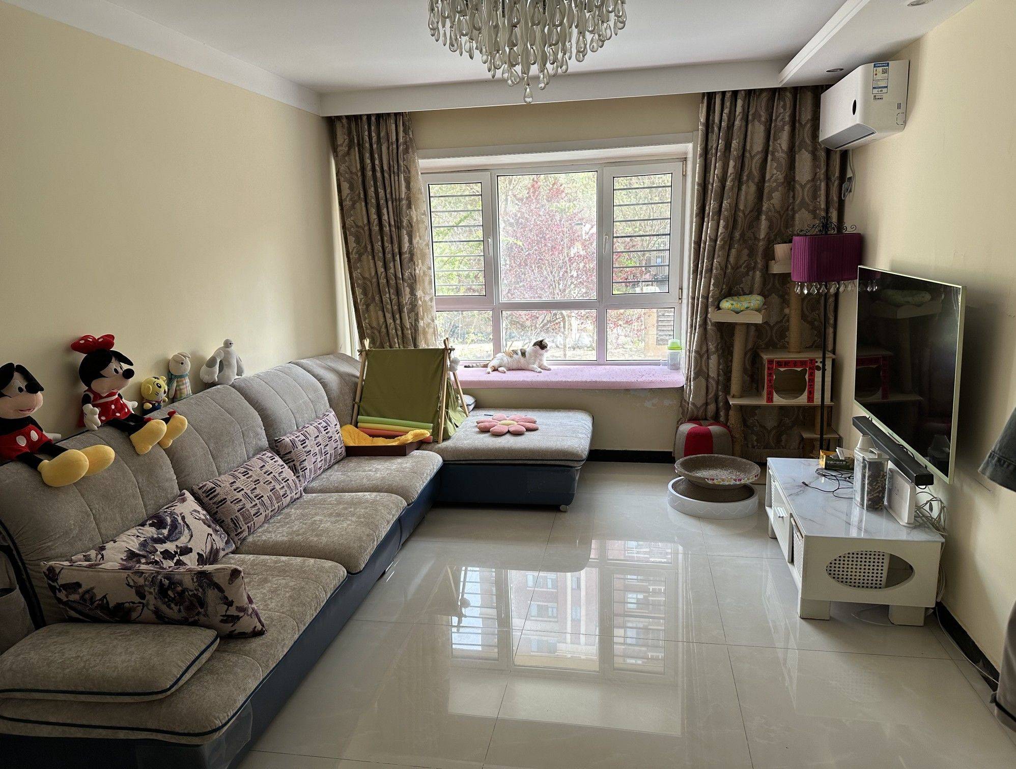 Tianjin-Dongli-Cozy Home,Clean&Comfy,No Gender Limit,Hustle & Bustle,“Friends”,Chilled
