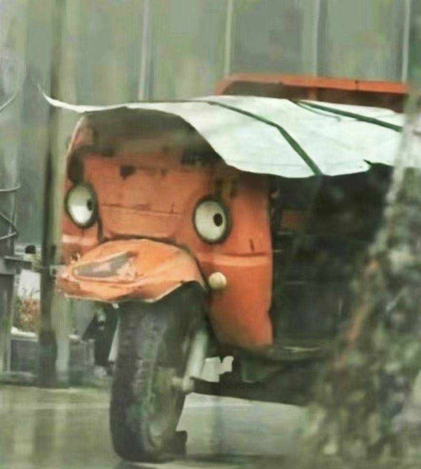 木木
