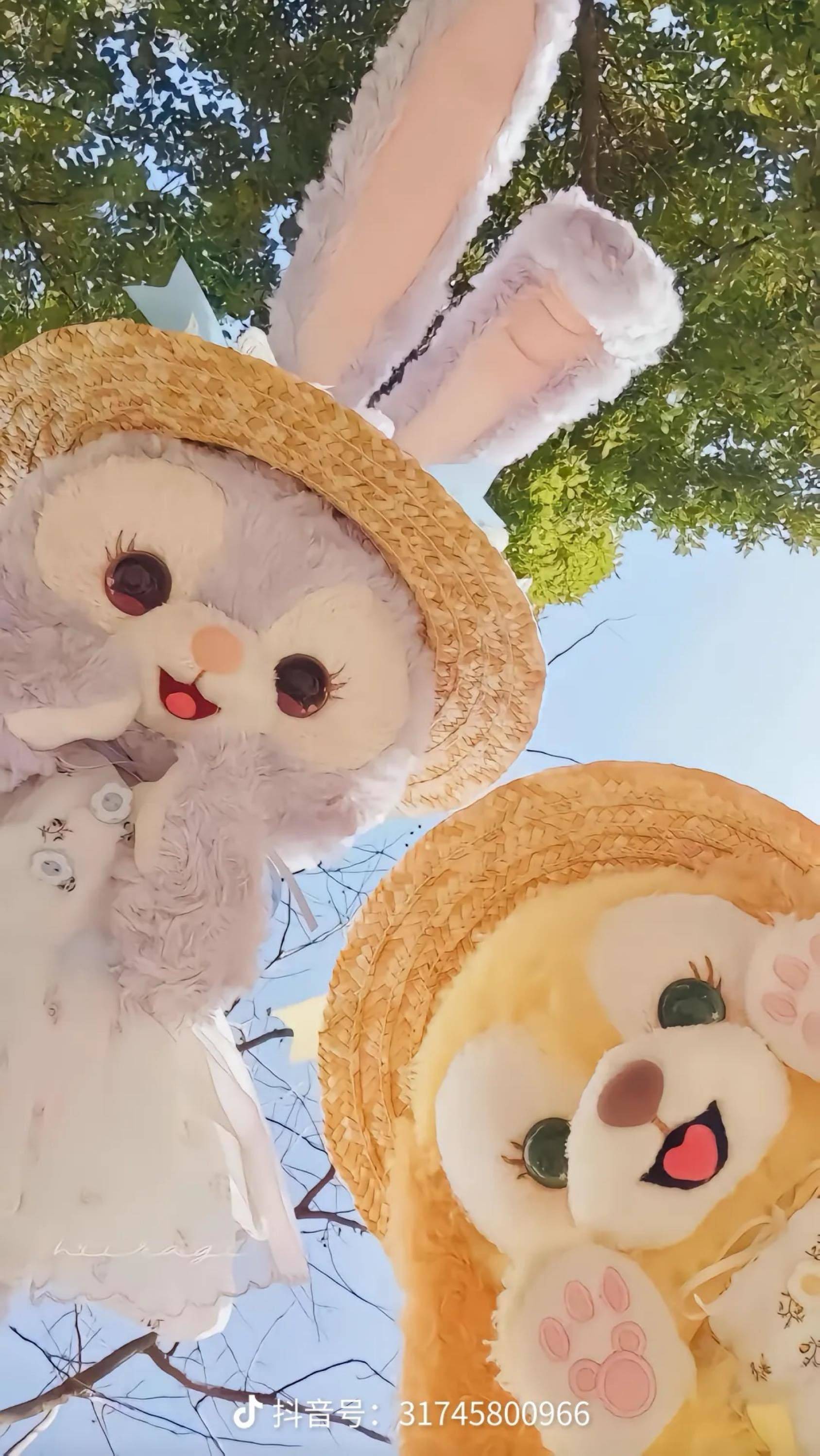 她和她的猫