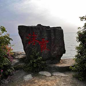 陶宇