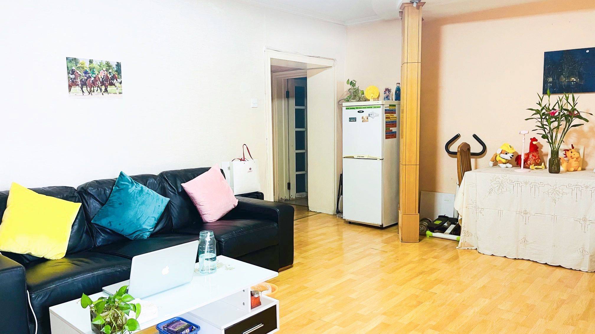 Beijing-Chaoyang-Cozy Home,Clean&Comfy,No Gender Limit