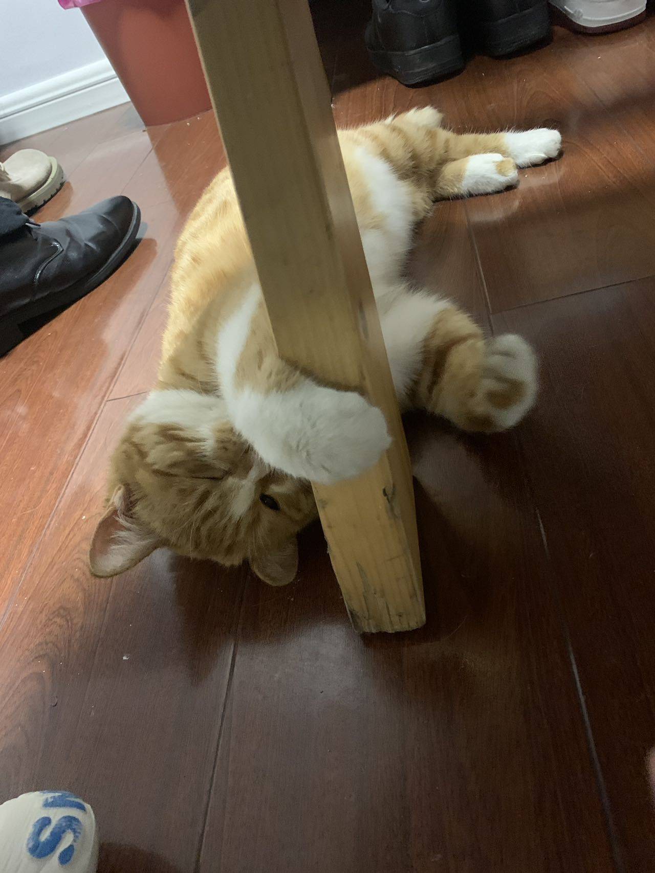 半眠日记📸Style?