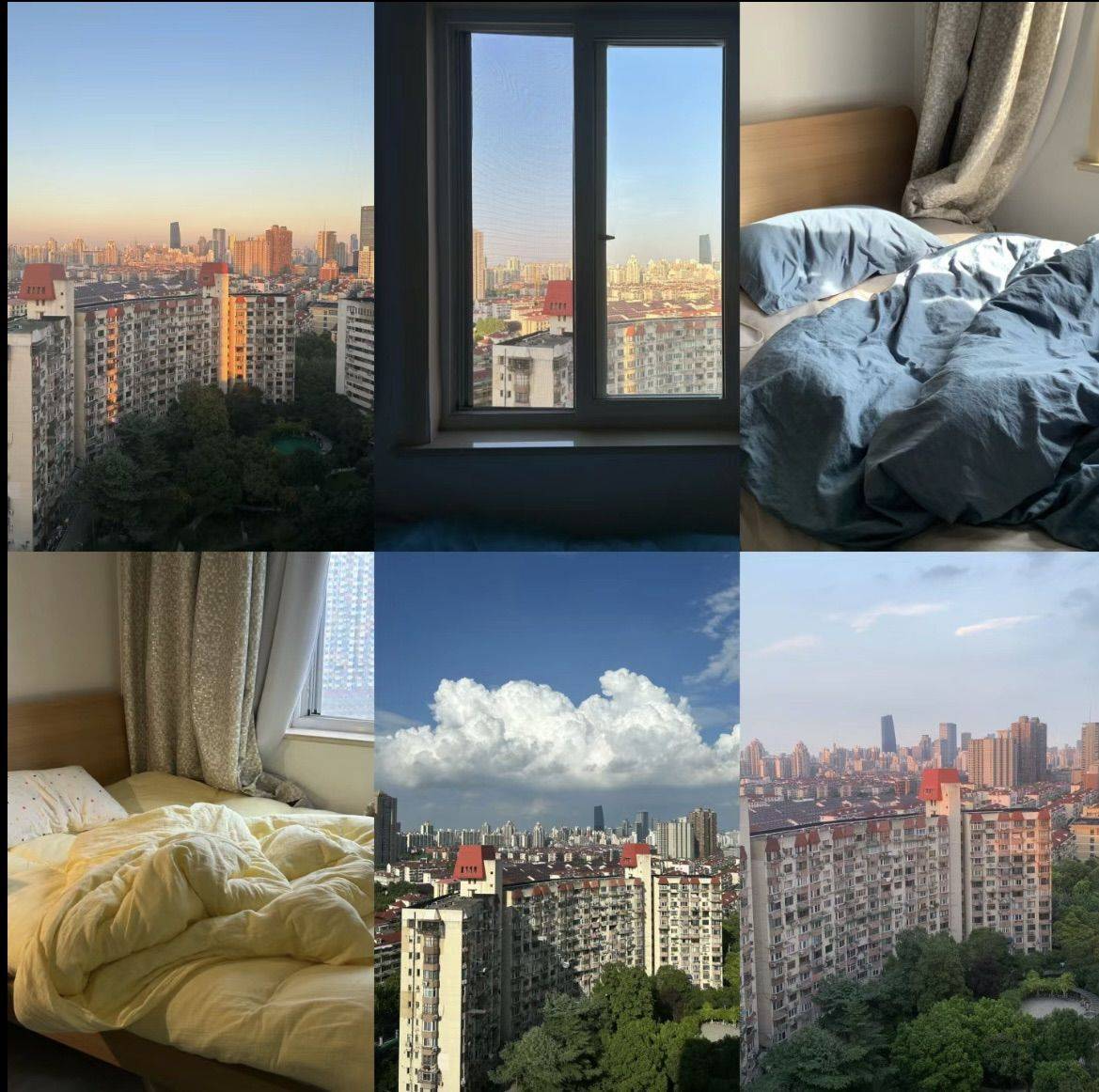 Shanghai-Changning-Pet Friendly