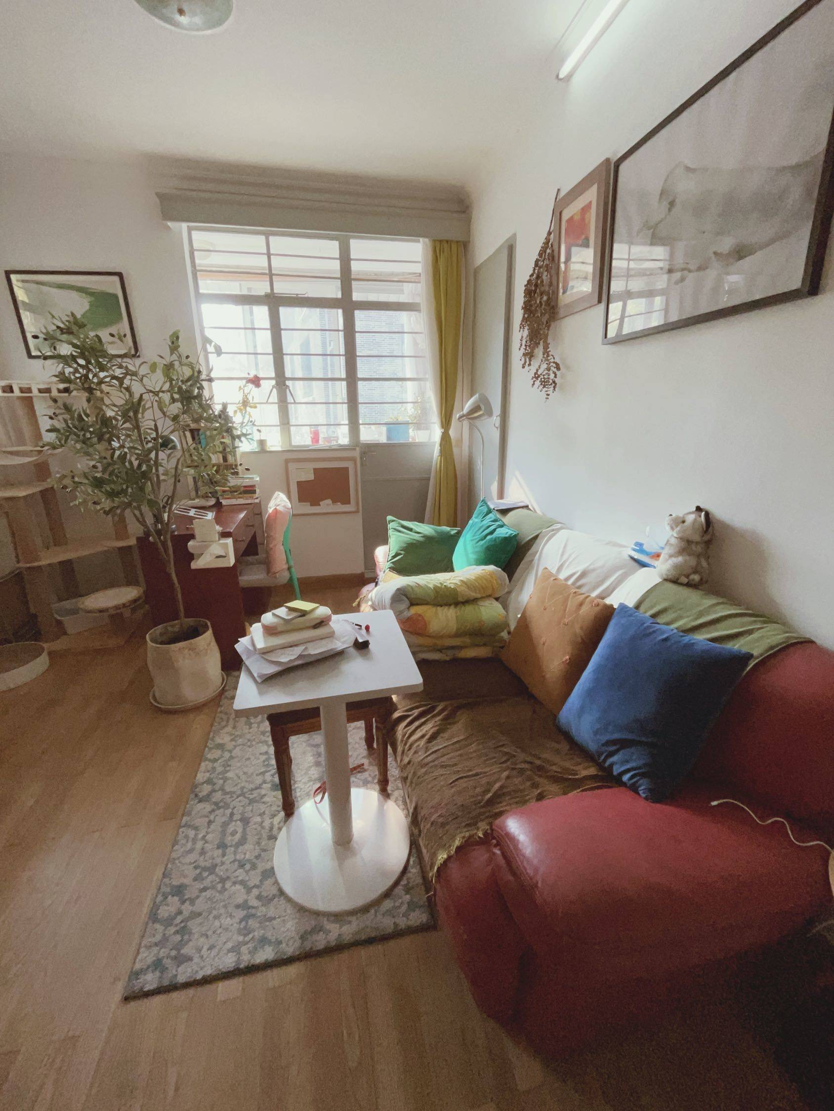 Shanghai-Xuhui-Cozy Home,No Gender Limit,Hustle & Bustle