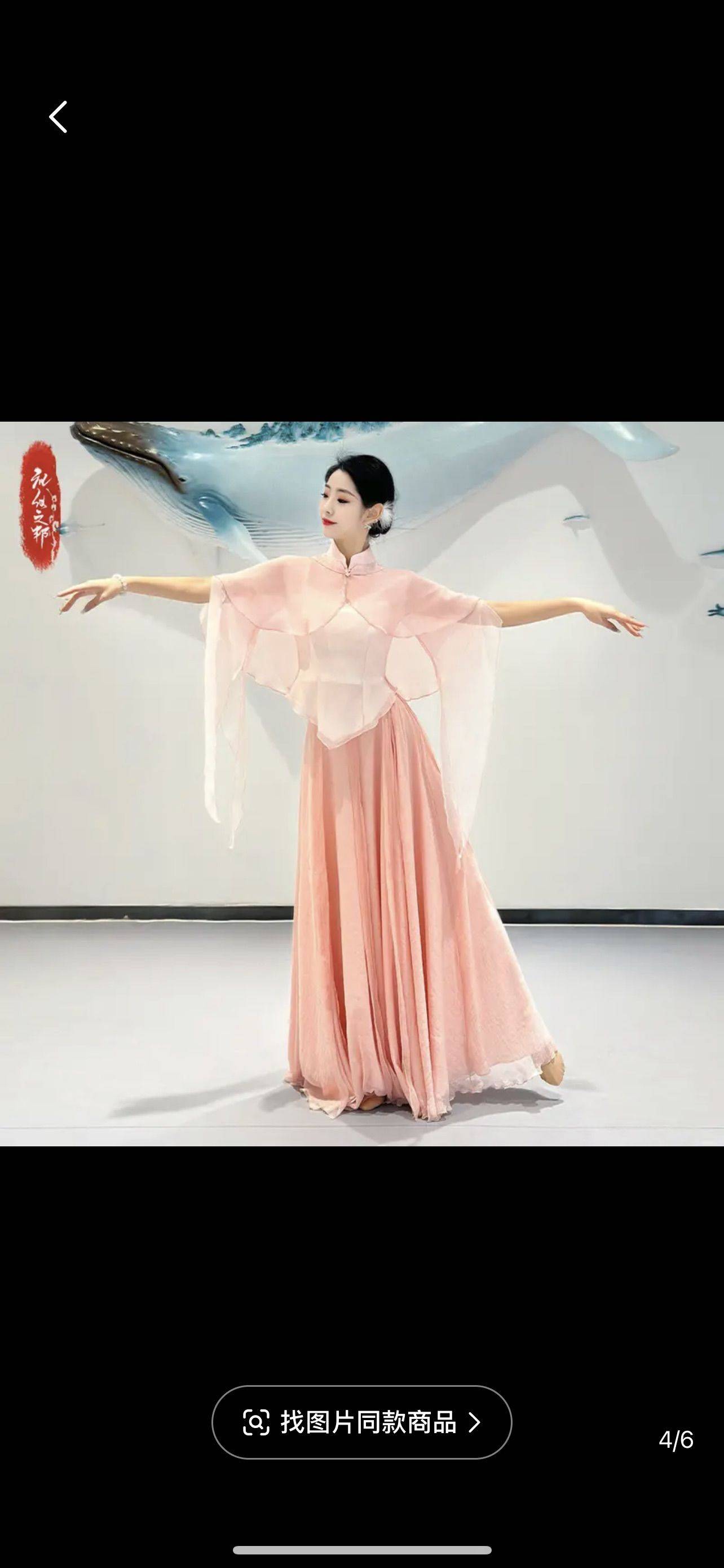 天竺葵