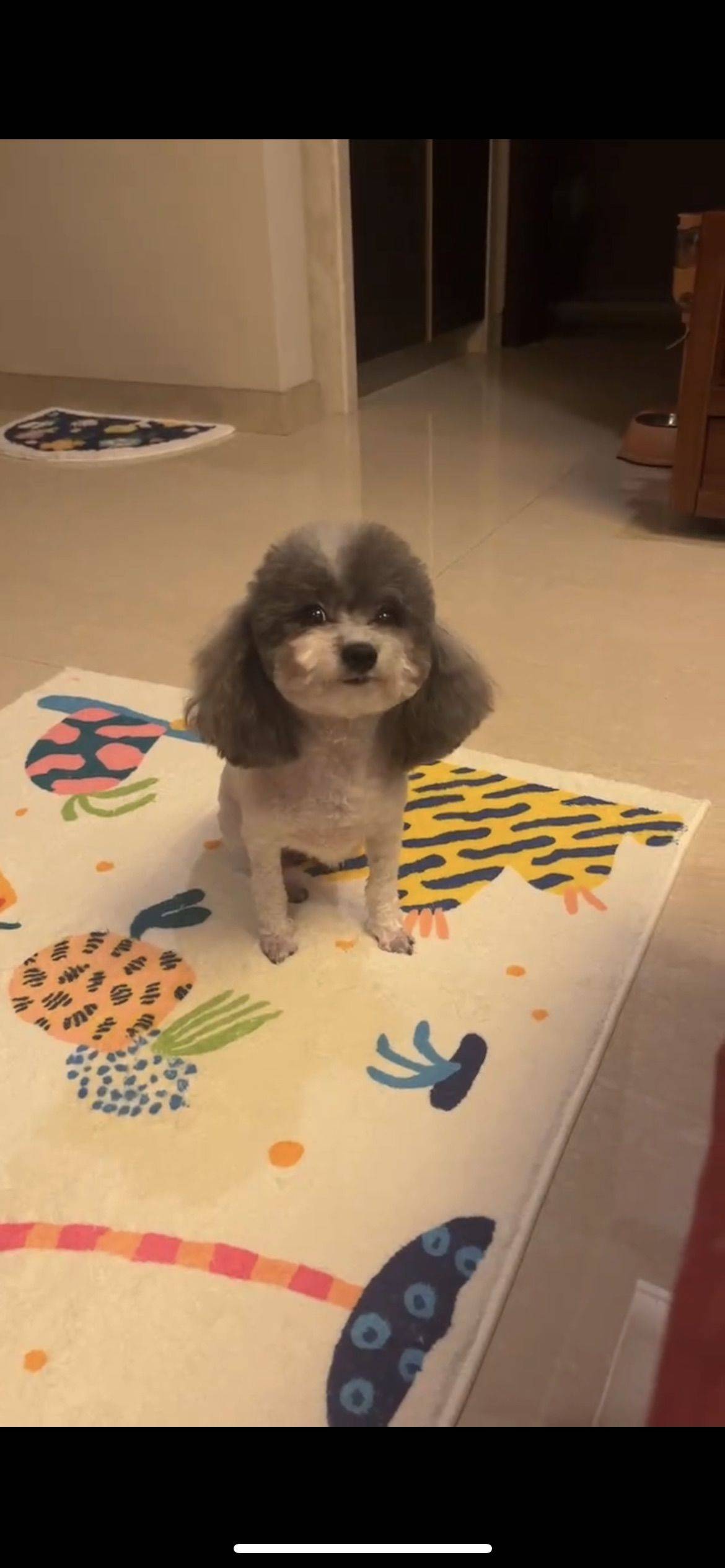 刘隽隽