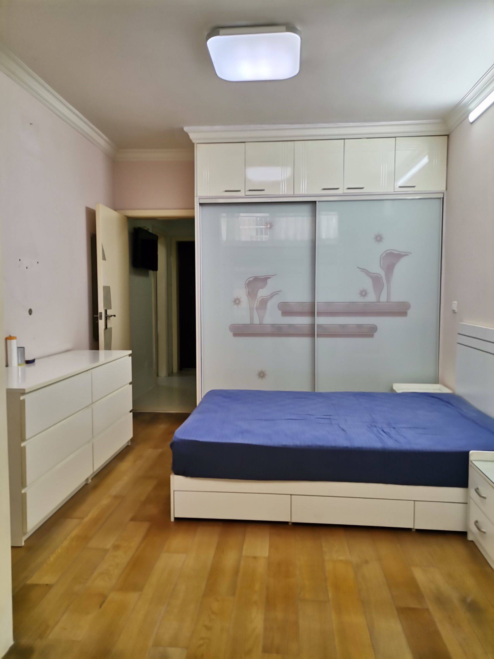 上海-普陀-溫馨小窩,不限性別