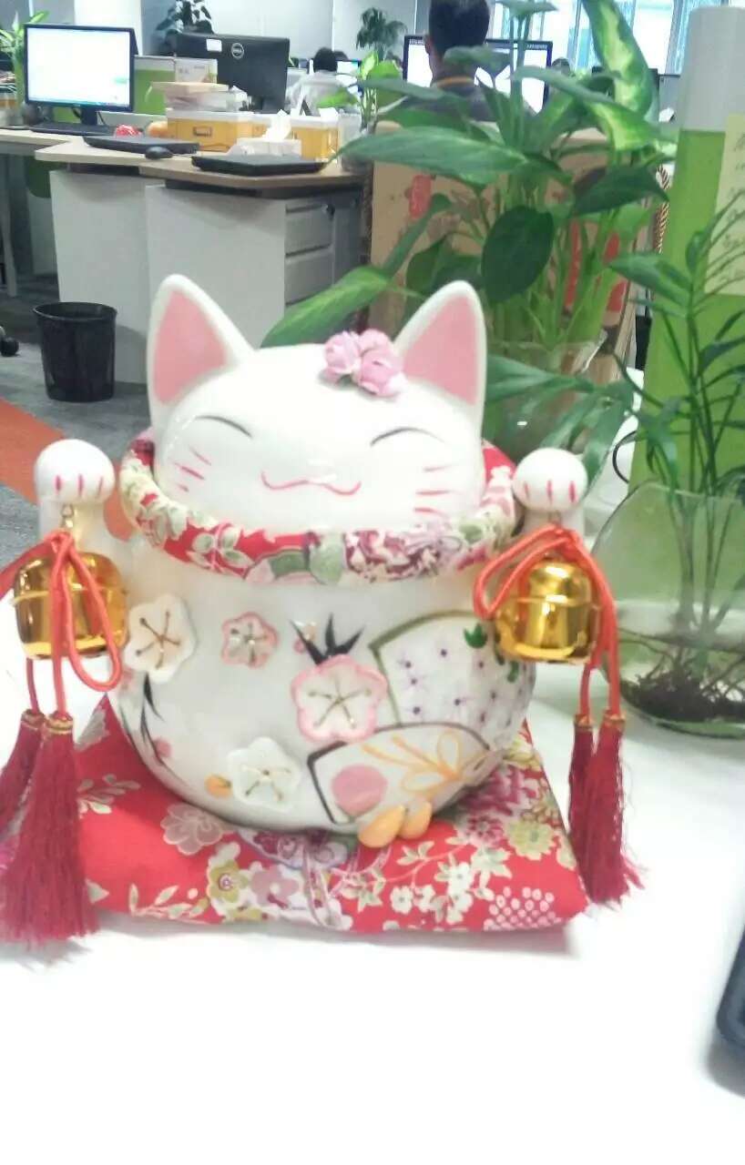 青春不悔