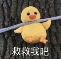 兔邠