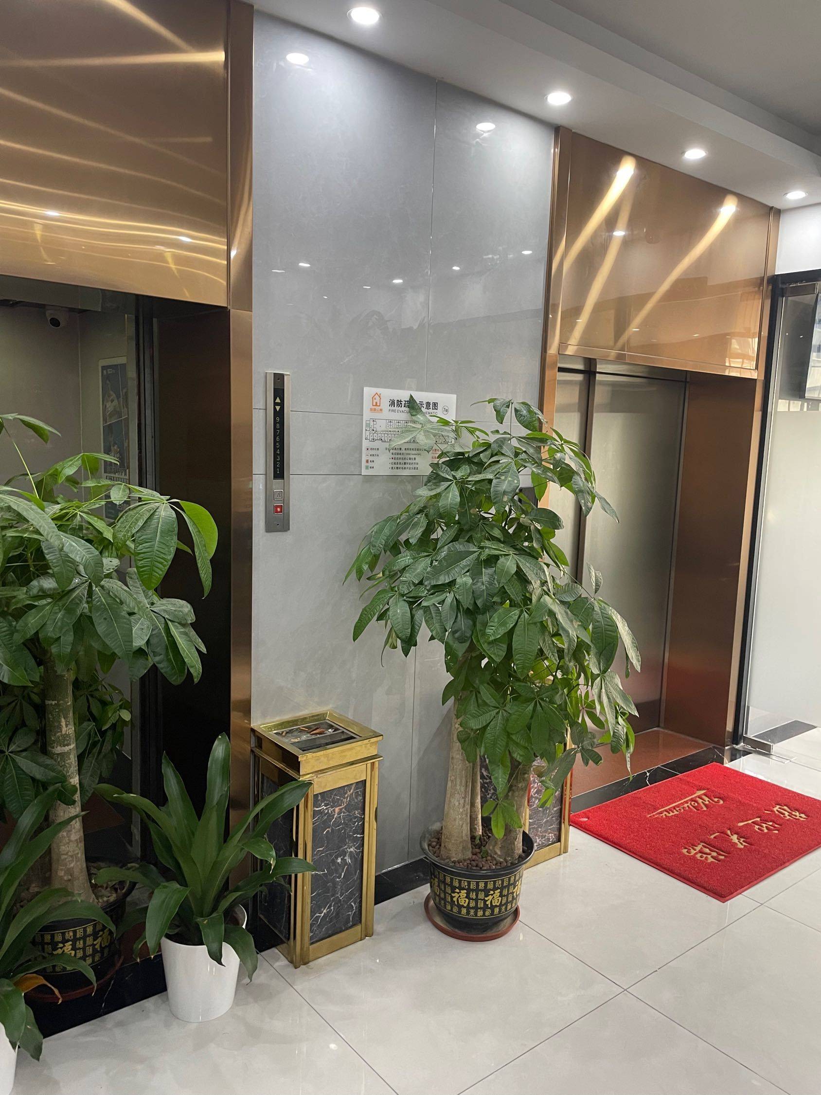 Shenzhen-Nanshan-Cozy Home,No Gender Limit,Hustle & Bustle,LGBTQ Friendly,Pet Friendly