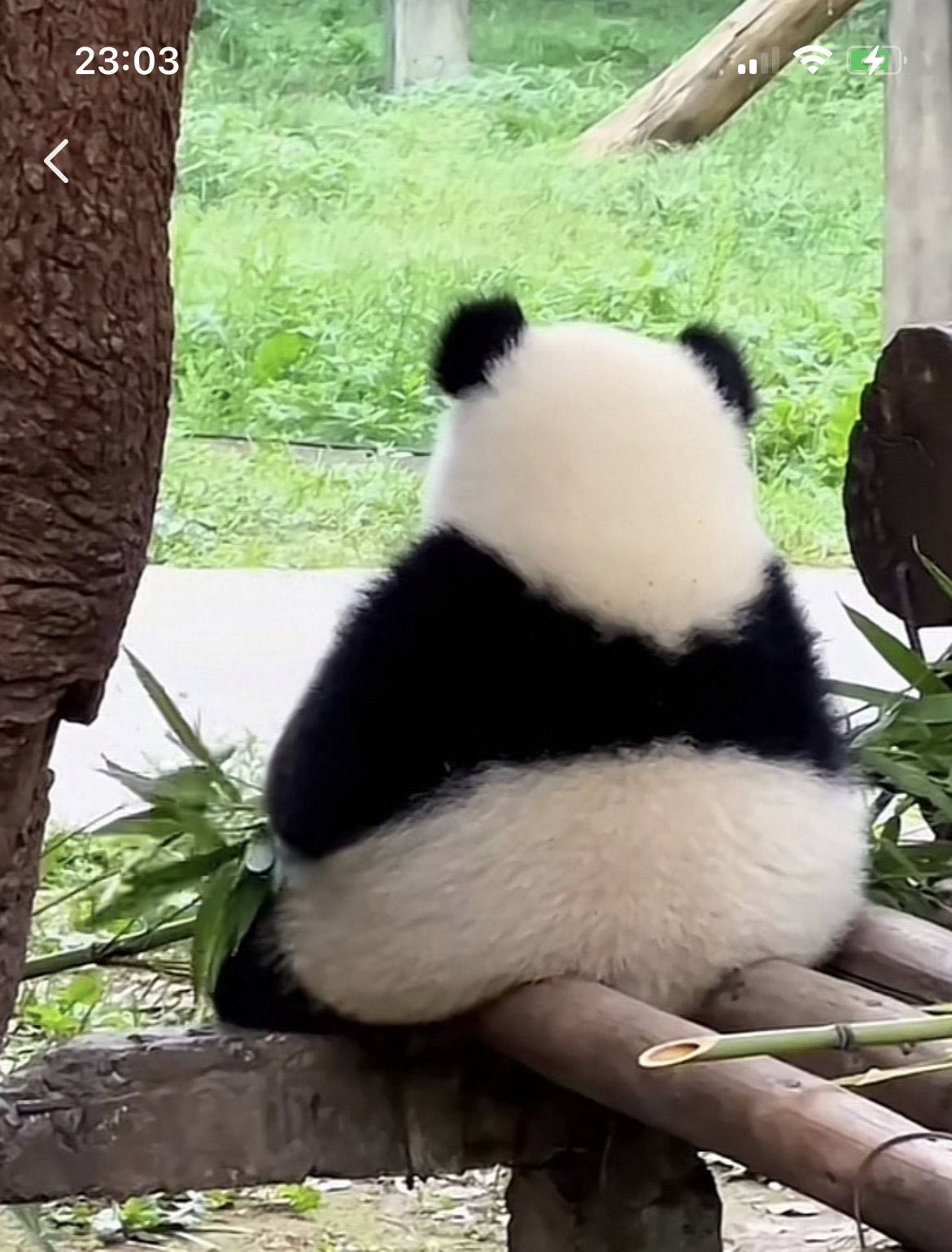 悠然