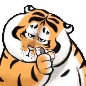 Caasir