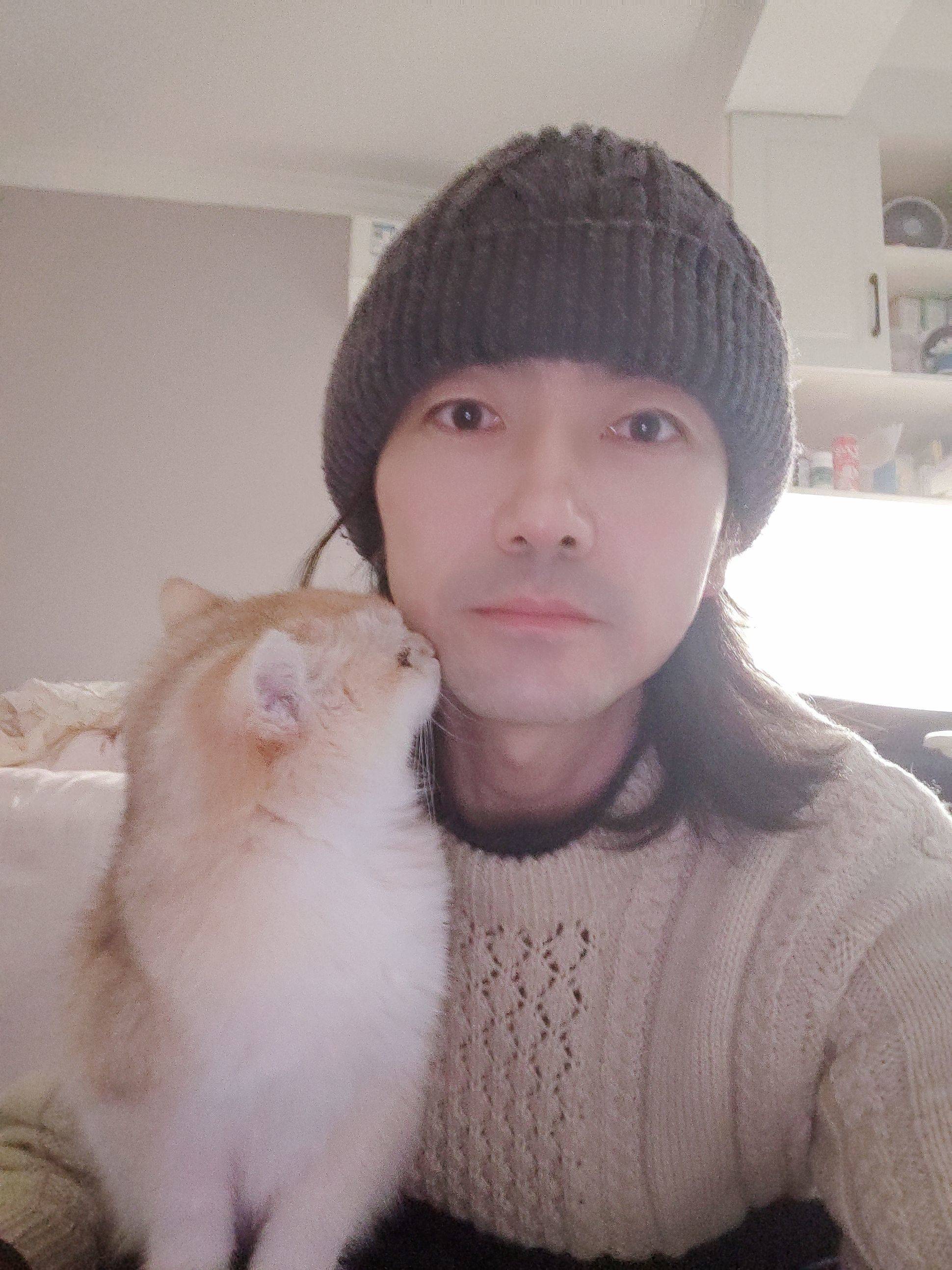  虎虎 