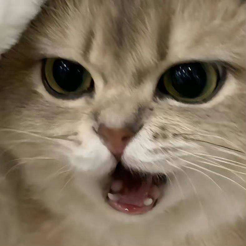 小兔崽汁