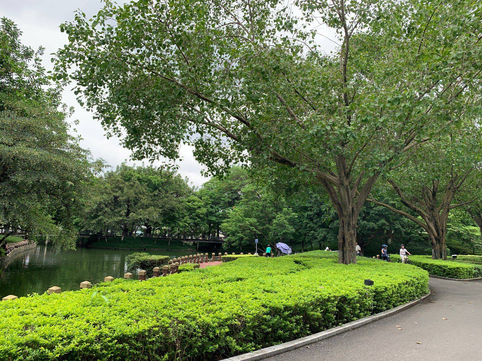 丝丝