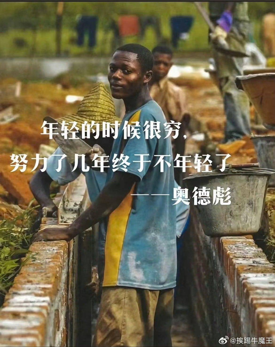 加菲尔德