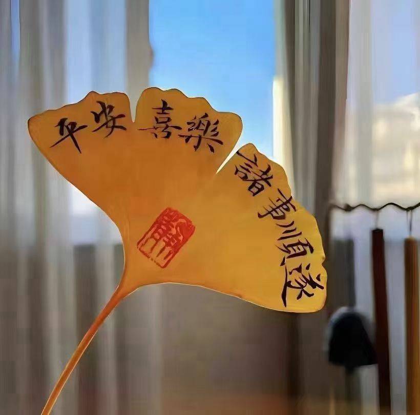 life_photo_1