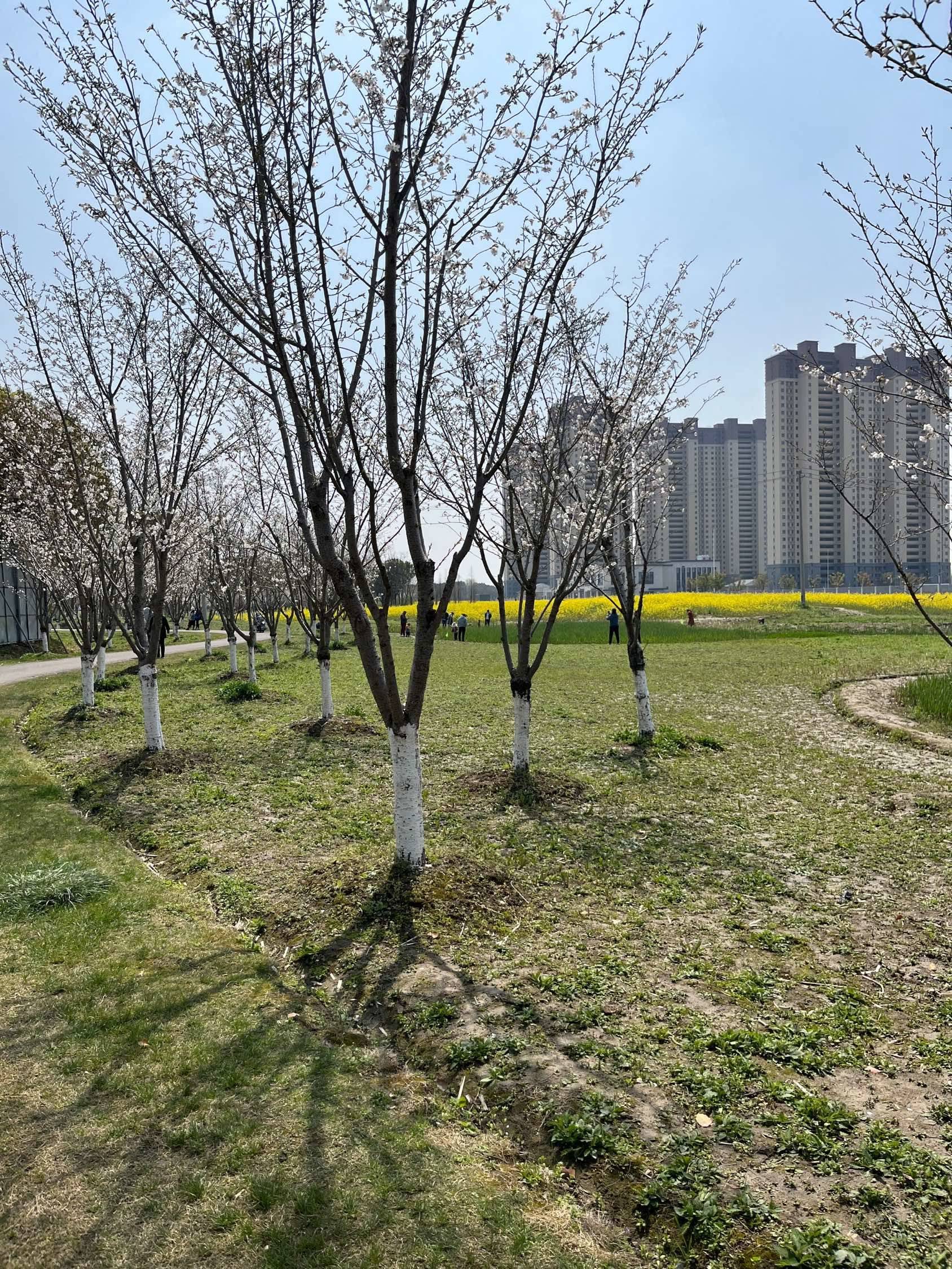 Chongqing-Nan'An-Cozy Home,Clean&Comfy,No Gender Limit