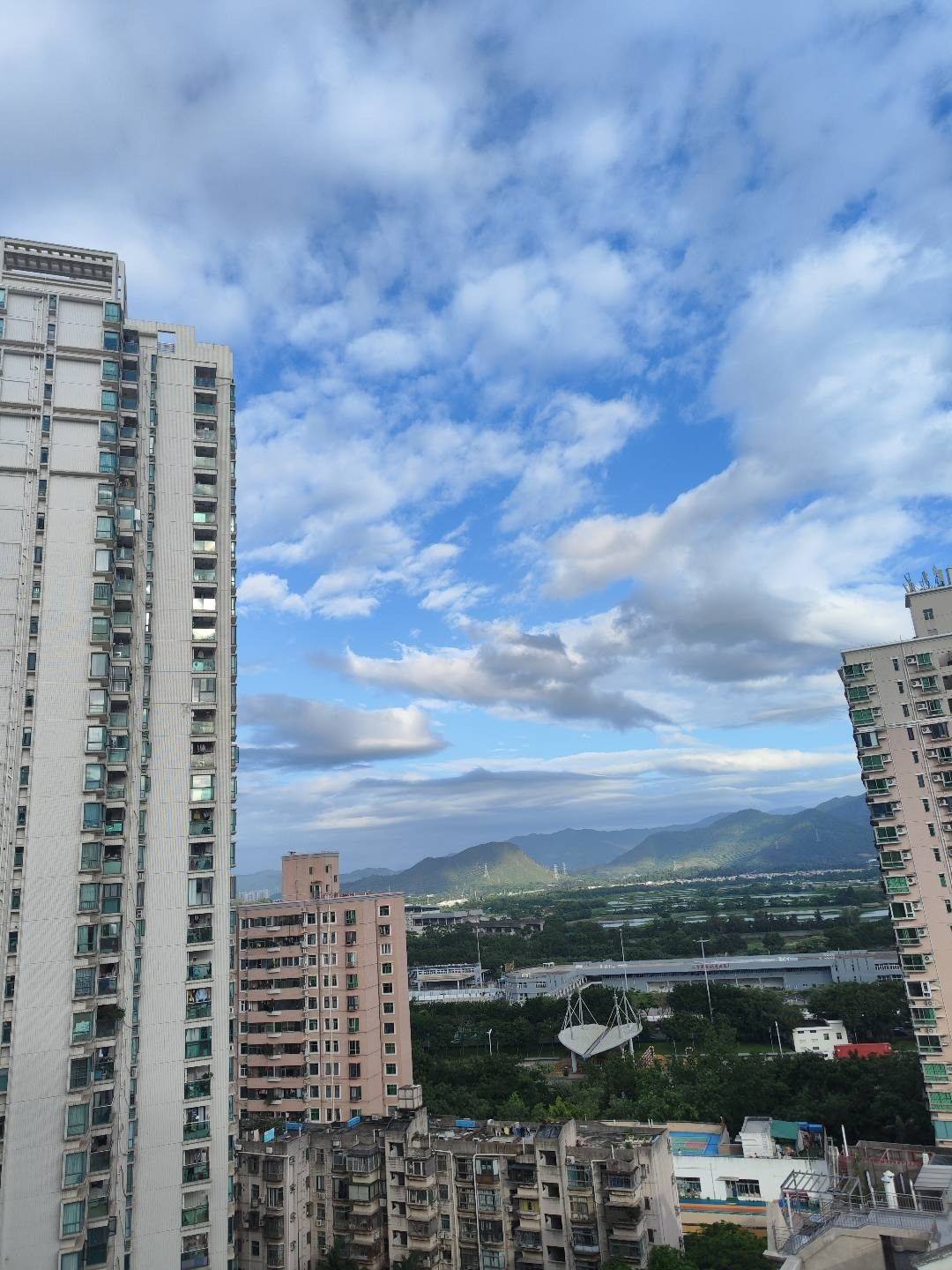 🕊️江同学
