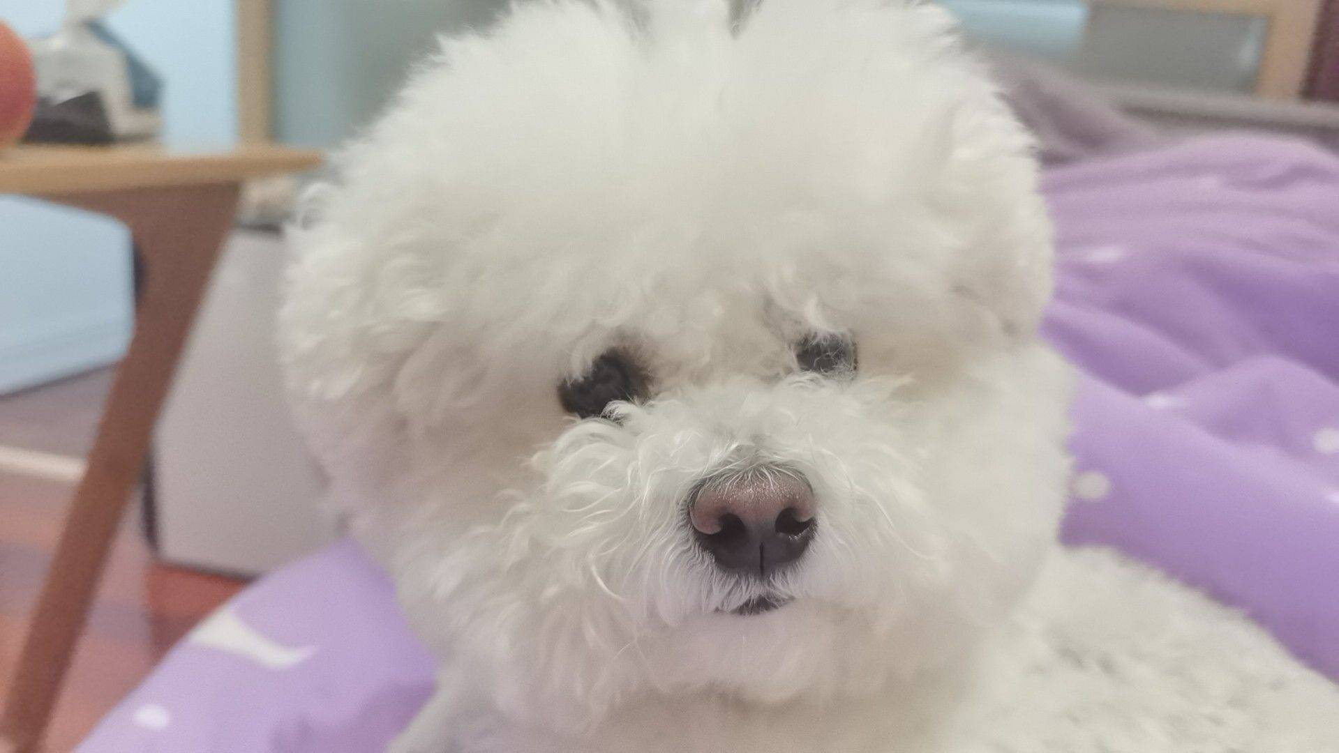 阿冷冷阿
