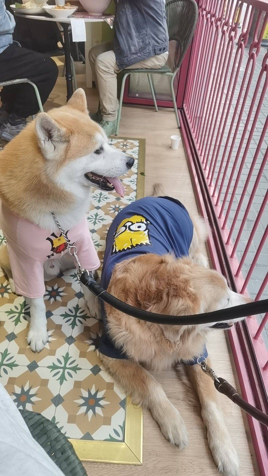 铜女士