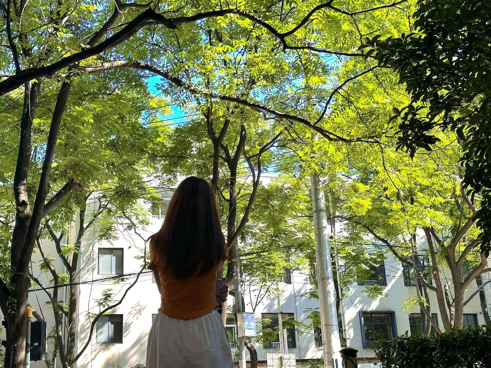 小小
