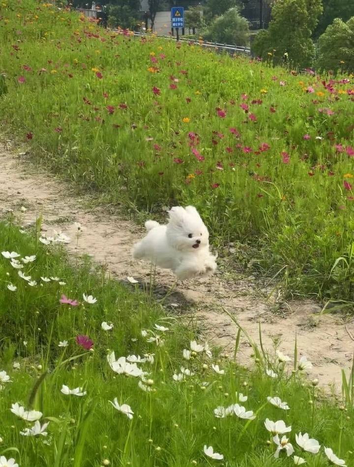 西雅图