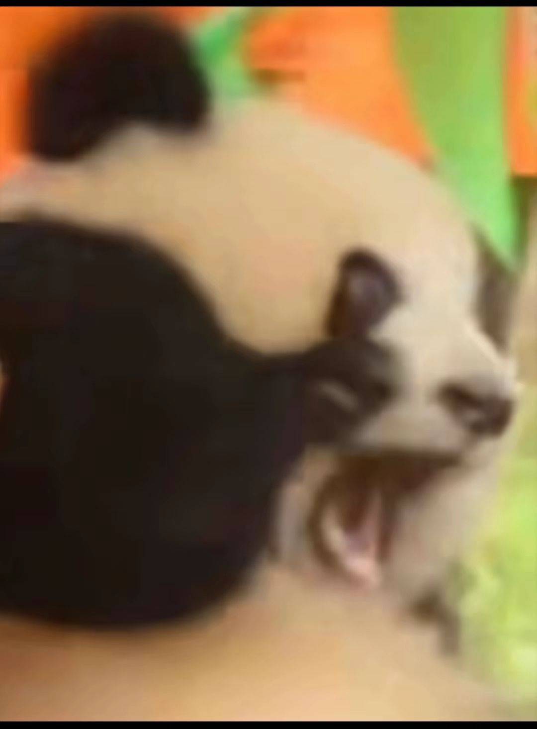 Kris