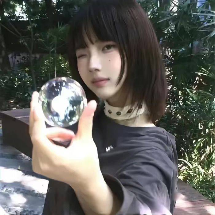 情鸽