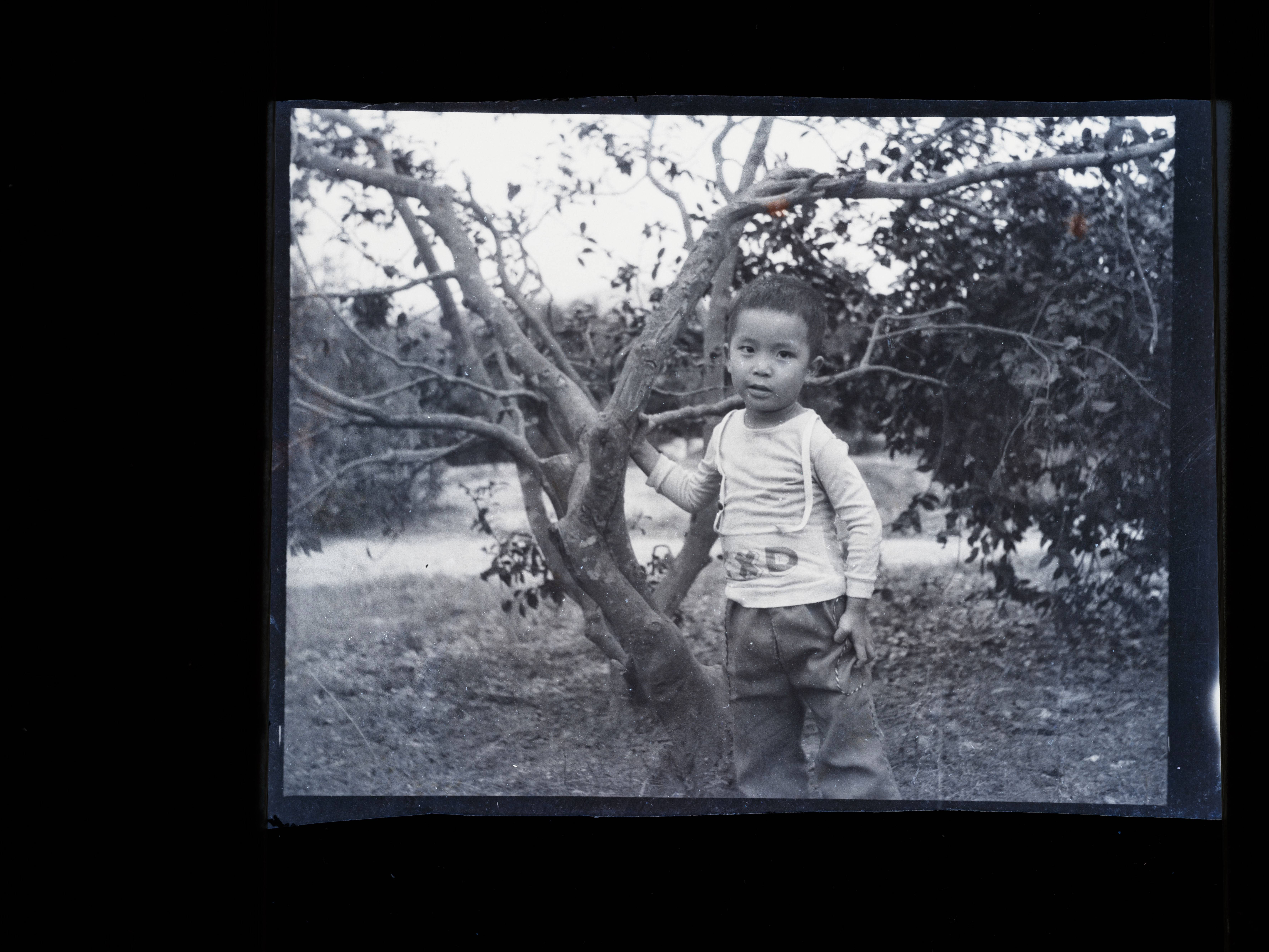 life_photo_0
