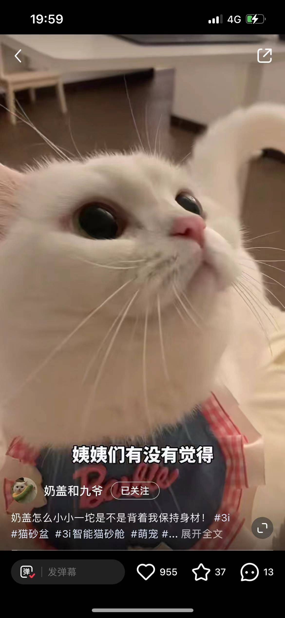 陌陌