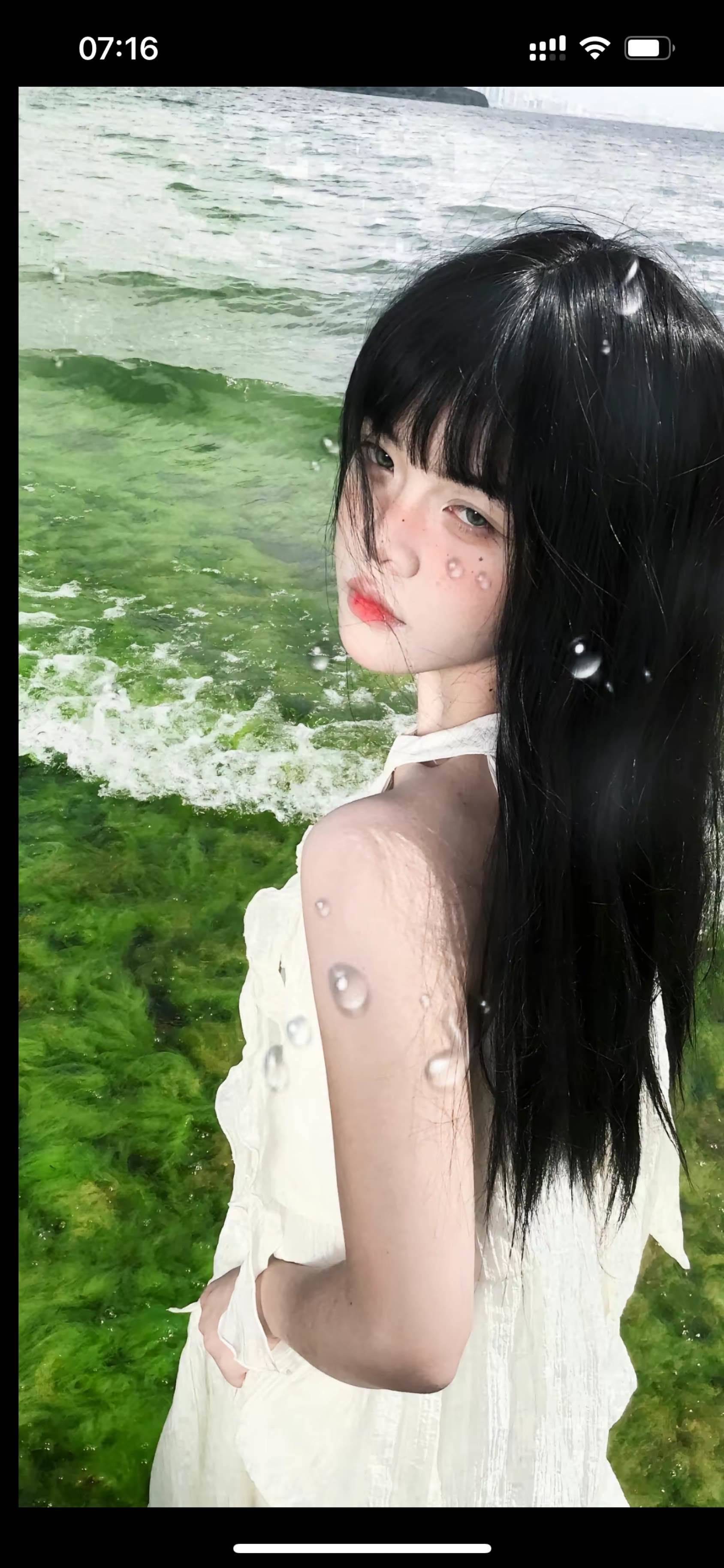 橘子🍊