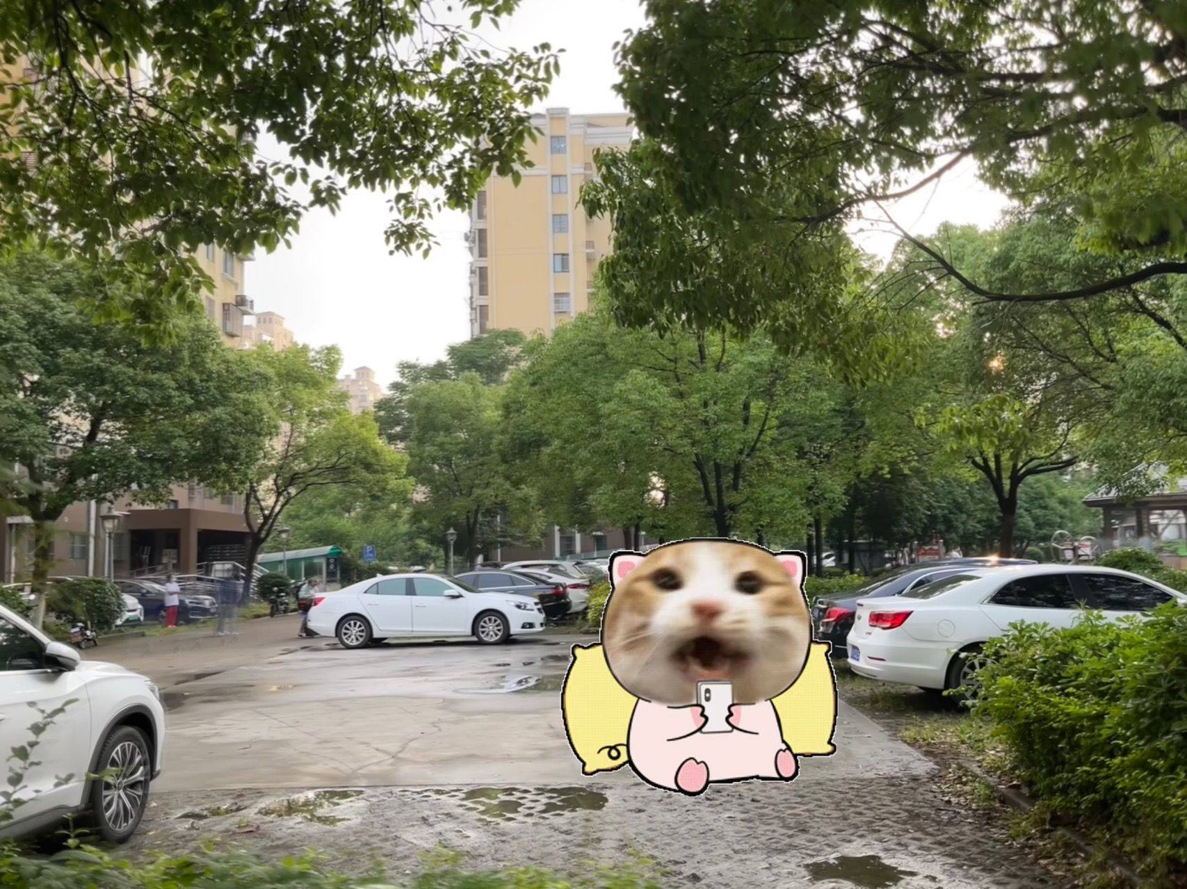 Shanghai-Songjiang-Cozy Home