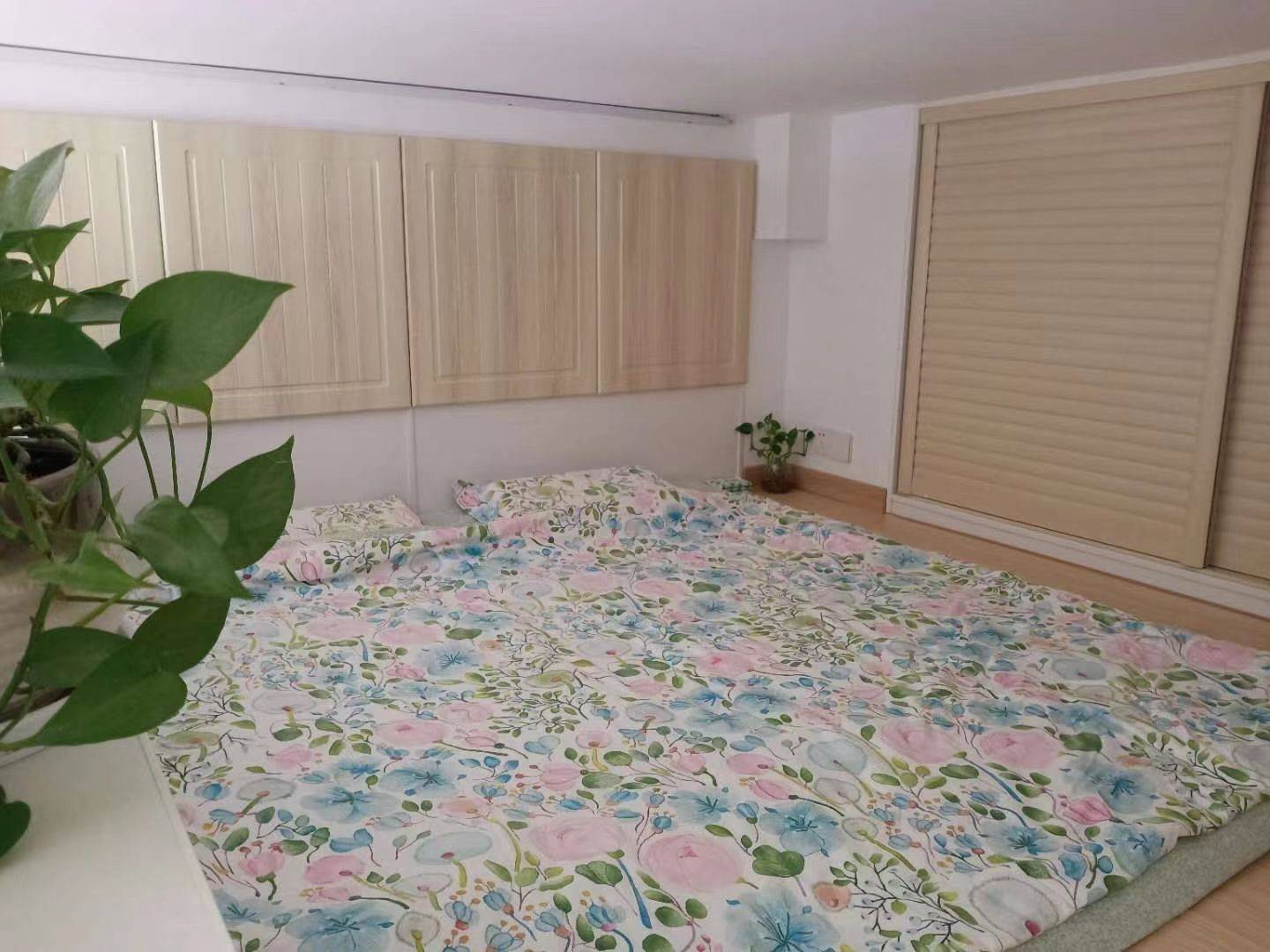 苏州-吳中-溫馨小窩,乾淨治愈,不限性別,市井煙火氣,慢時光,LGBTQ友好,寵物友好