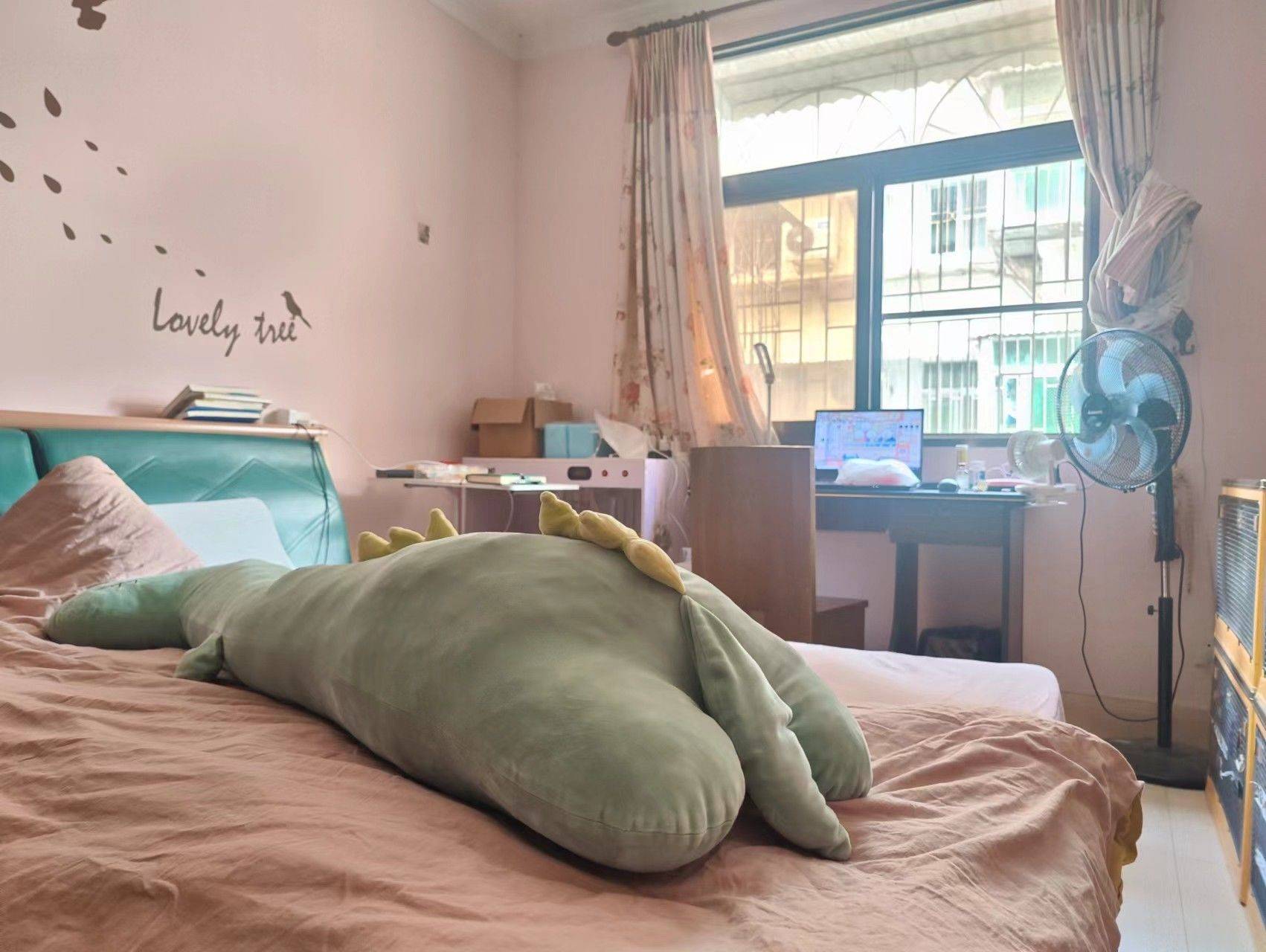 Xiamen-Siming-租房采光好,光照充足,Cozy Home,Clean&Comfy,No Gender Limit