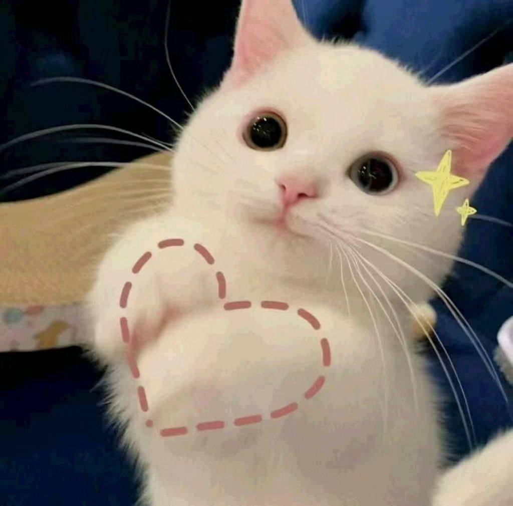 yyyyyy