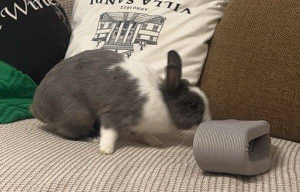 周一🌵
