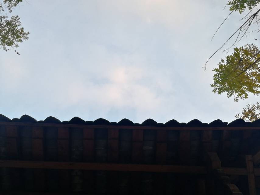 绒