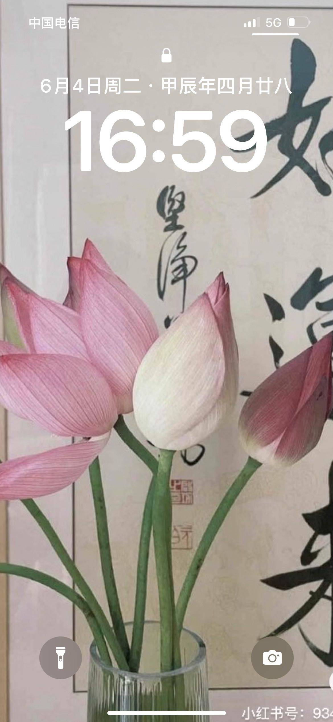巧克力