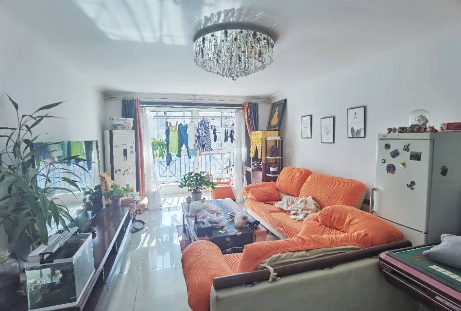 北京-朝陽-溫馨小窩,不限性別