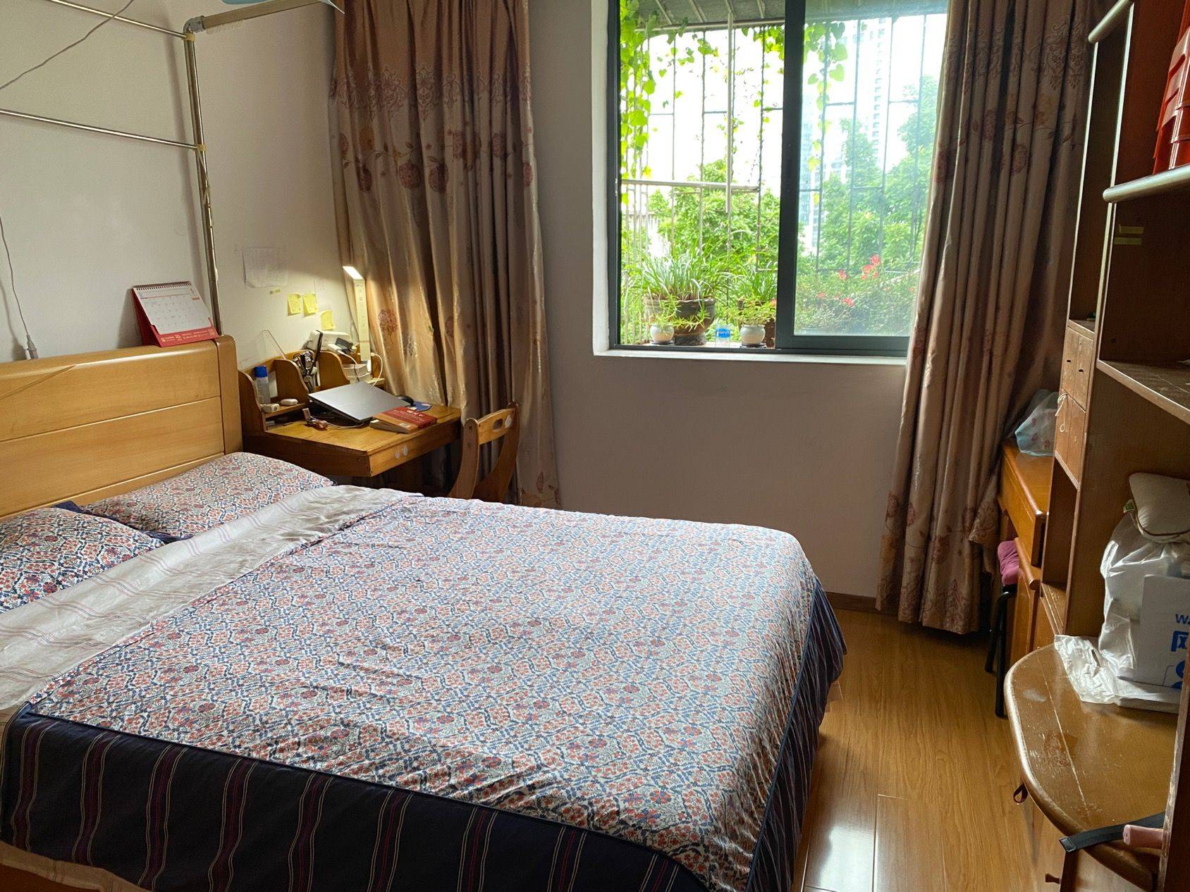 深圳-南山-溫馨小窩,乾淨治愈,不限性別,市井煙火氣,老友記,慢時光,寵物友好