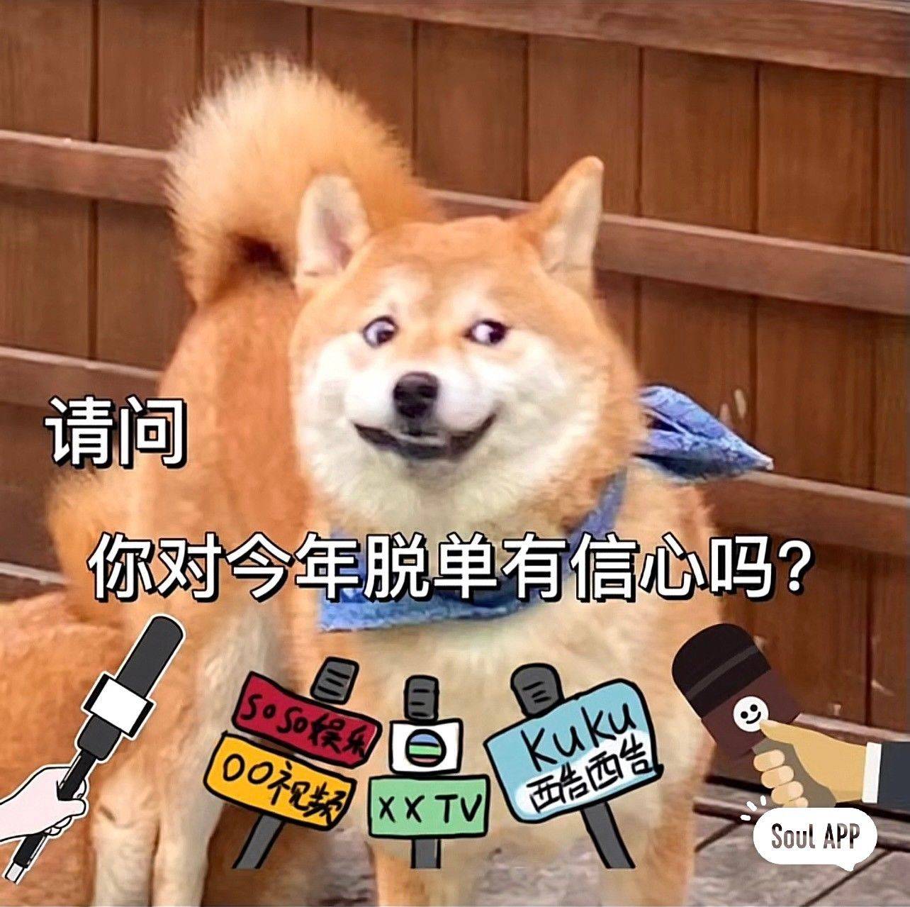 叶落若尘