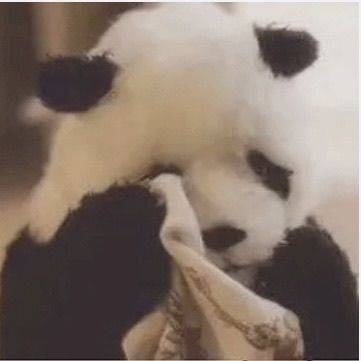 悬梦