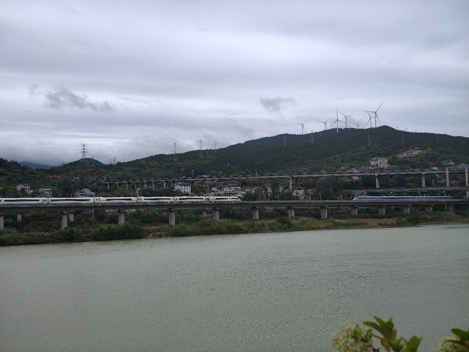 小骆驼