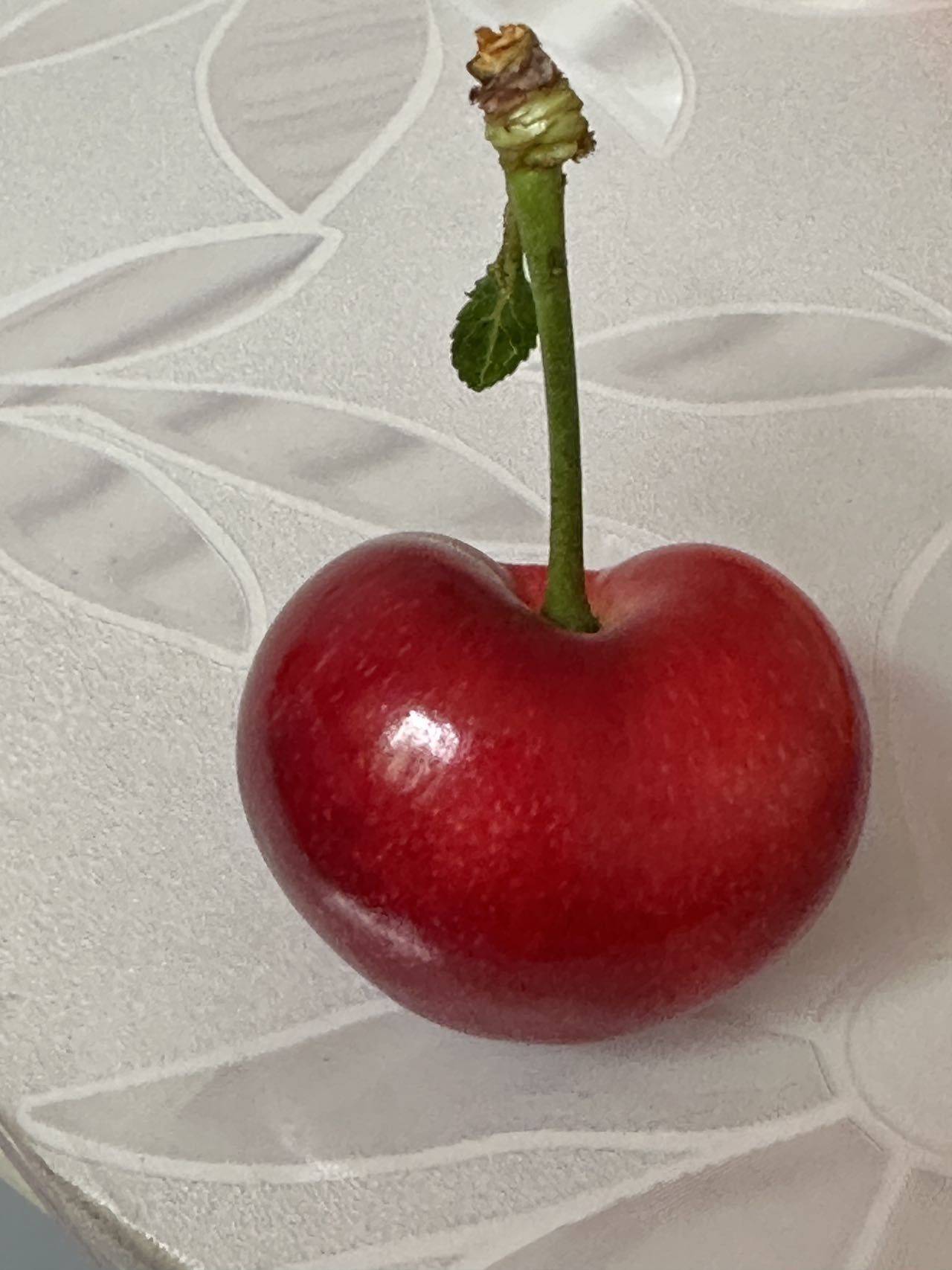 敏敏