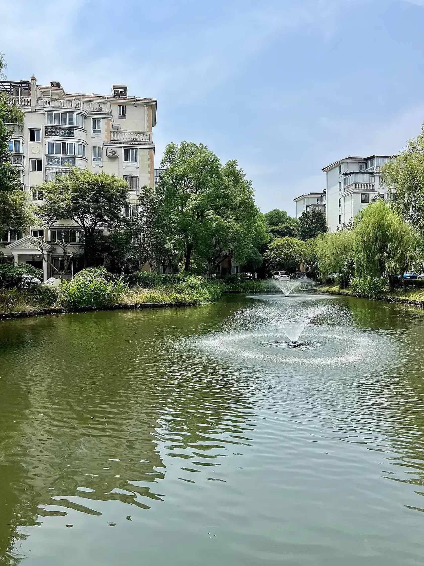 上海-浦東-溫馨小窩,乾淨治愈,不限性別,市井煙火氣,慢時光
