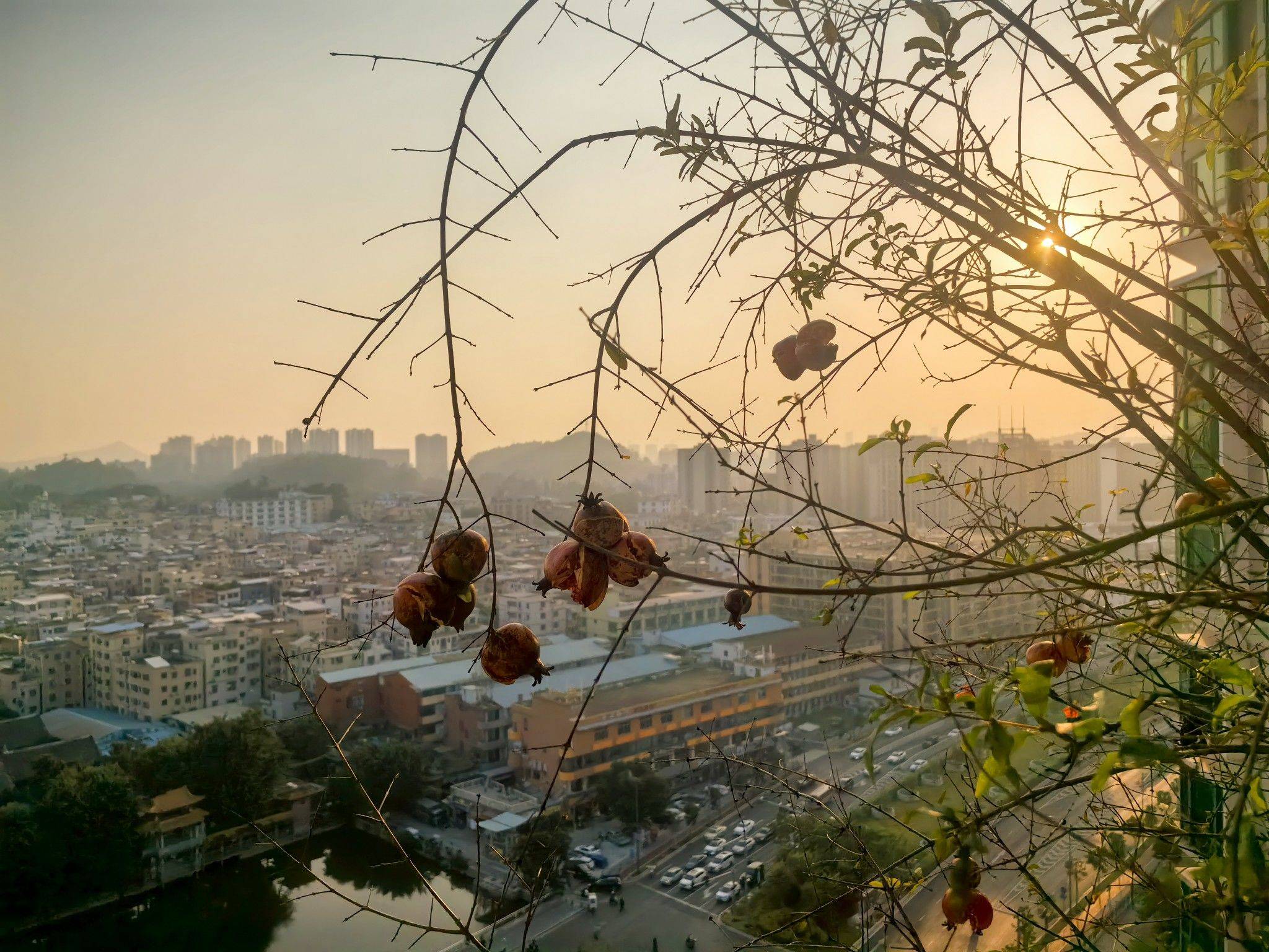 Guangzhou-Panyu-Cozy Home,Clean&Comfy