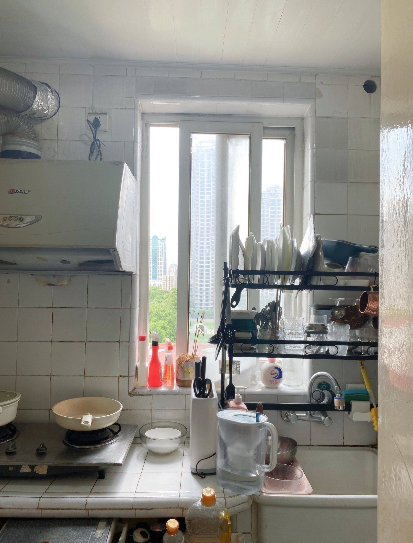 上海-徐汇-干净治愈,不限性别,宠物友好